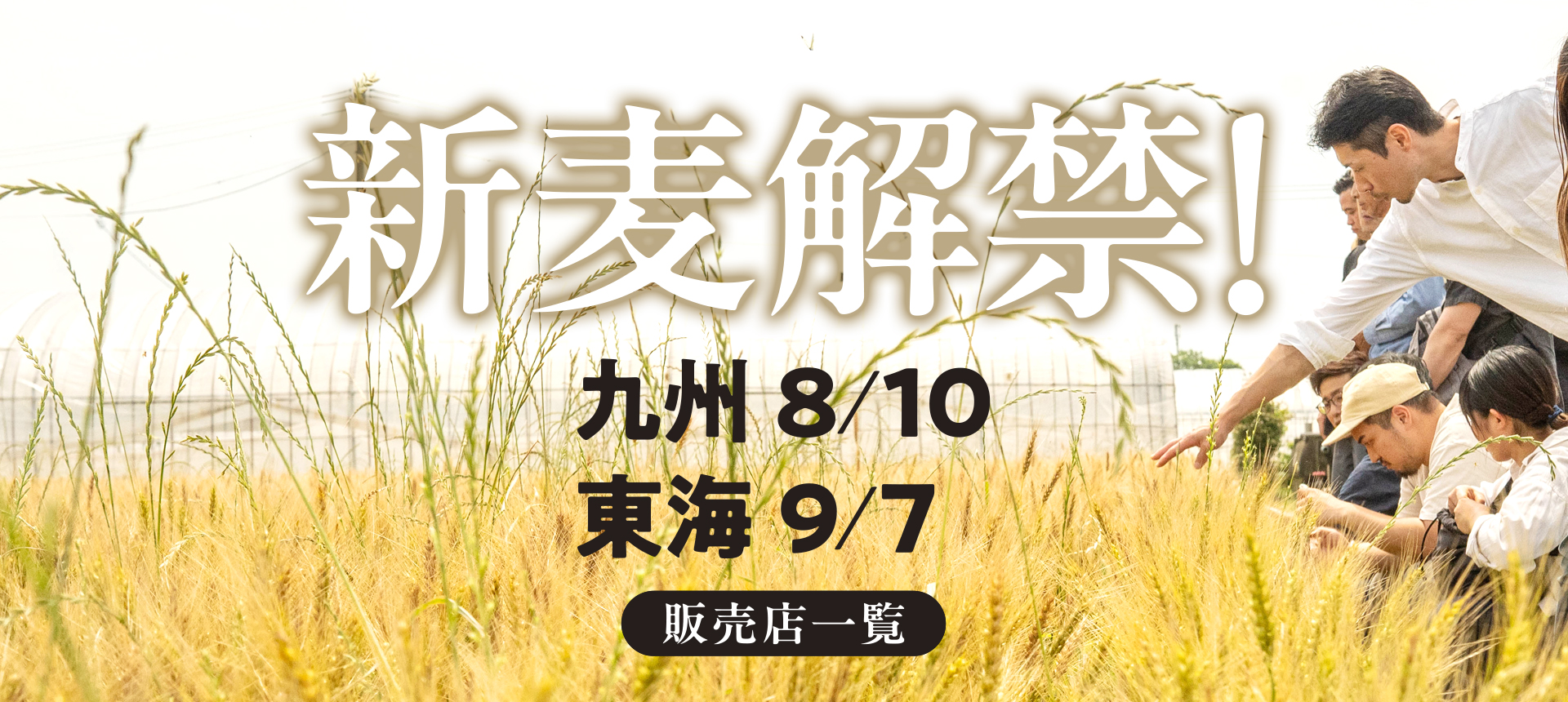 2024年 新麦解禁! 関東9/29、東北（青森は10/15）、北海道10/20